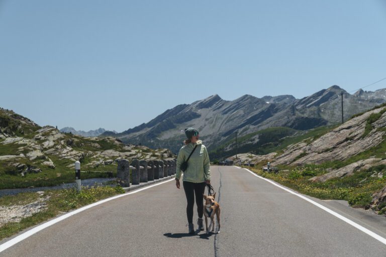 20250710 Nadine Regel Grand Tour Of Switzerland Print 25