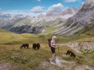 Huettentour Lechtaler Alpen 12