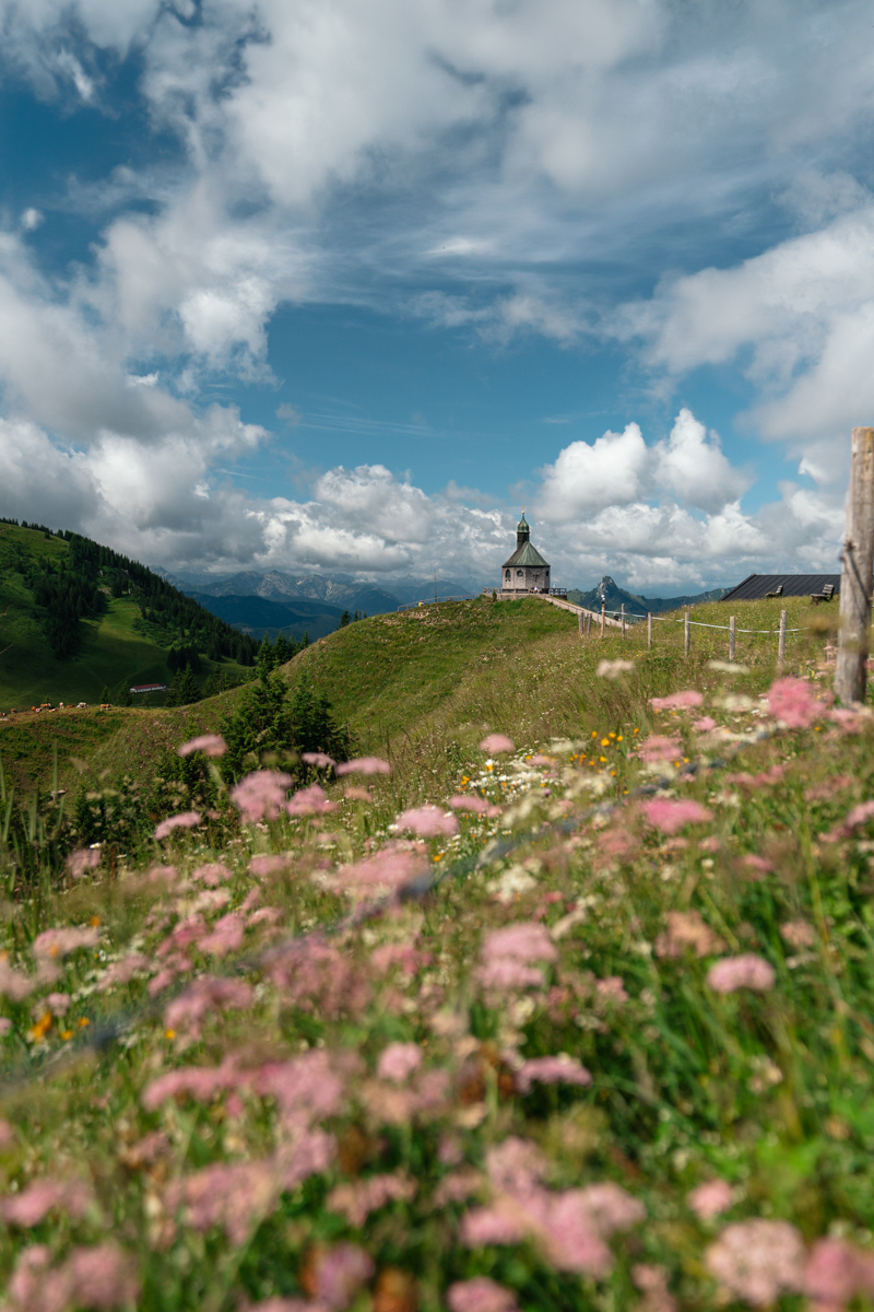 Fotograf München: Travel/Reisen/Tourismus 102 20250627 Altes Wallberghaus Bachmeier weissach 58